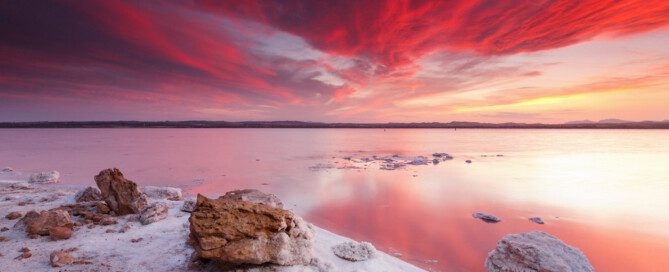 laguna rosa de torrevieja