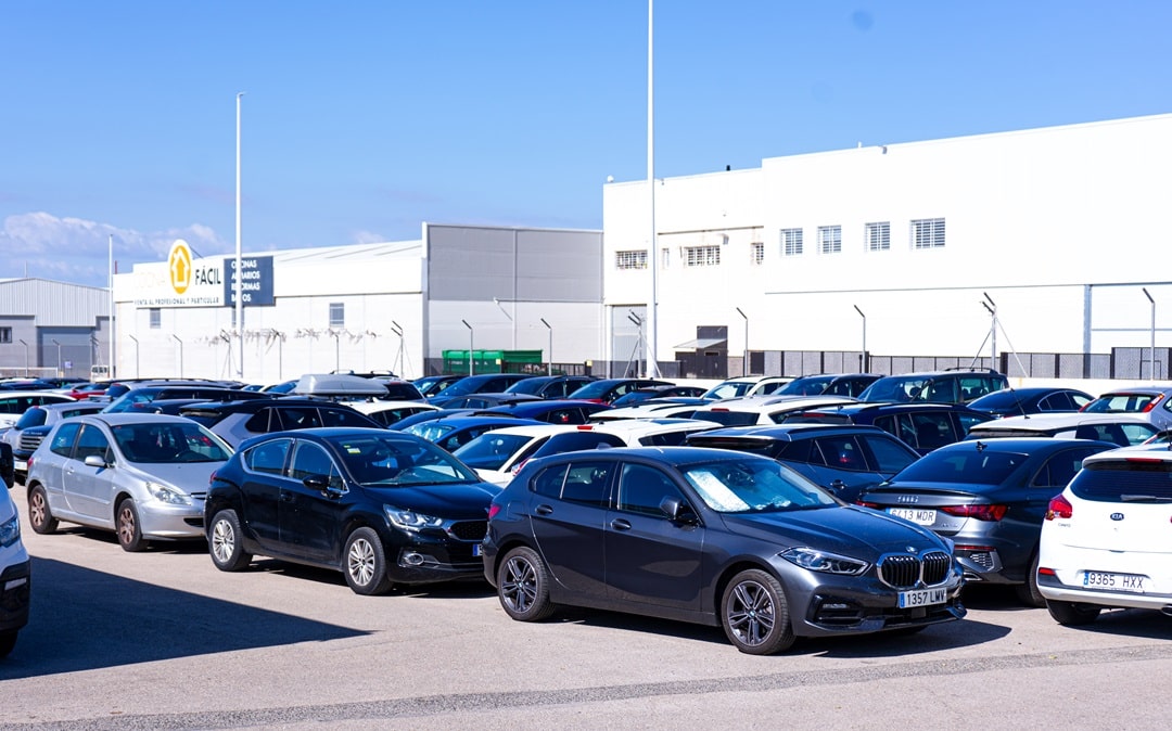 Flota de coches de alquiler de Victoria Cars